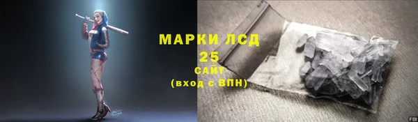 apvp Богданович