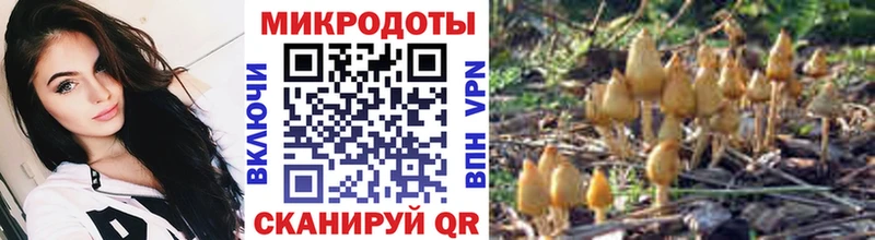 Галлюциногенные грибы ЛСД kraken ссылки Берёзовка
